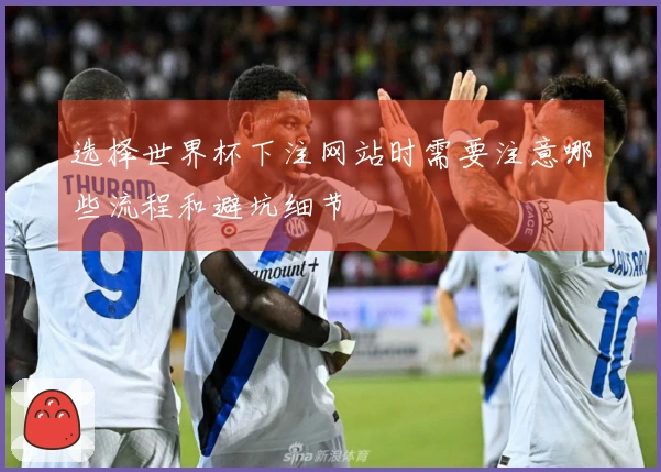 选择世界杯下注网站时需要注意哪些流程和避坑细节