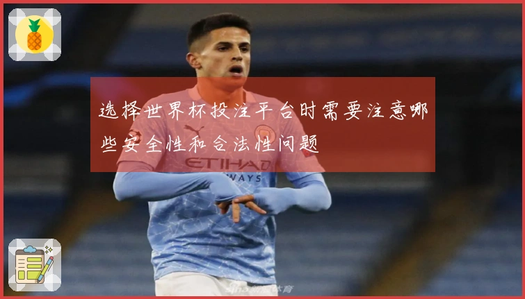 选择世界杯投注平台时需要注意哪些安全性和合法性问题