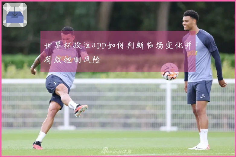 世界杯投注app如何判断临场变化并有效控制风险