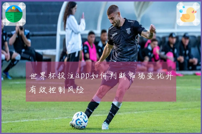 世界杯投注app如何判断临场变化并有效控制风险